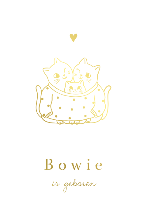 Boogvorm geboortekaartje met goudfolie poezenfamilie