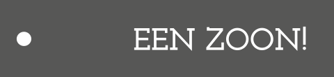 Grijs geboortelabel jongen met tekst een zoon