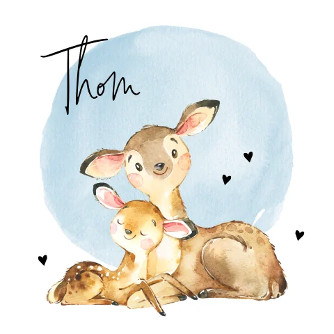 Waterverf jongens geboortekaartje met twee hertjes