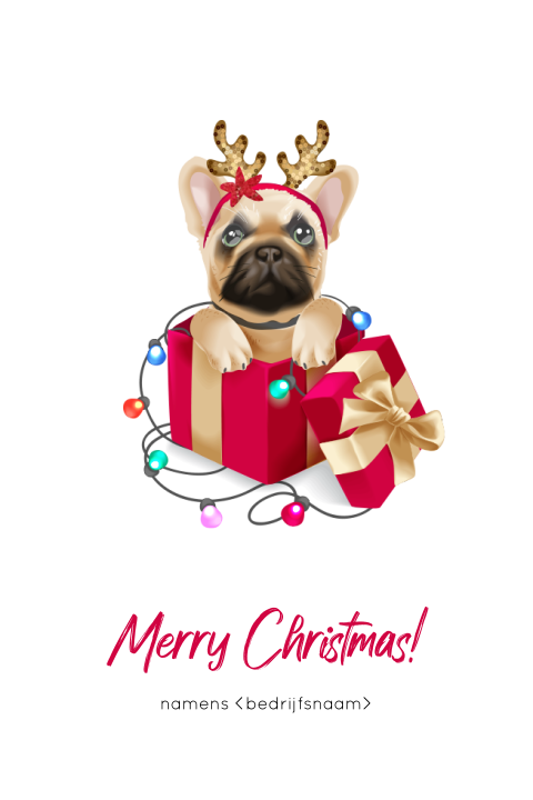 Kerstkaart met lief hondje in kerstcadeau