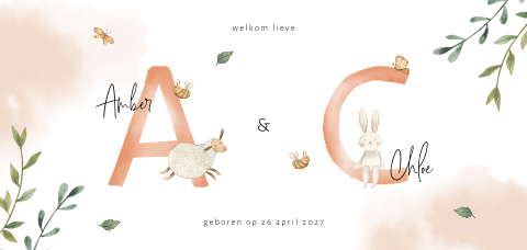 Tweeling geboortekaartje meisjes met dieren en initialen