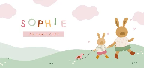 Geboortekaartje broer en baby zusje als twee konijntjes