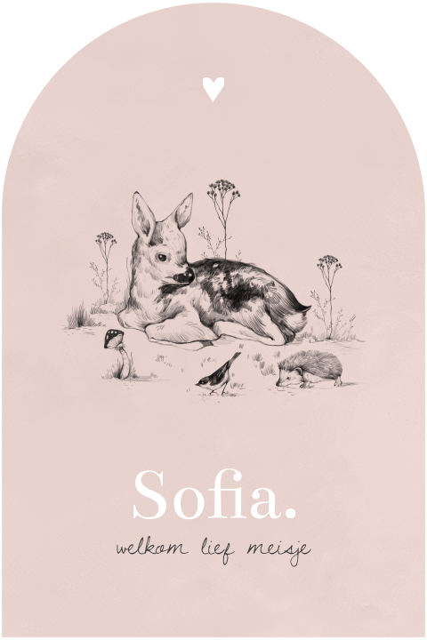Roze geboortekaartje met lief getekend hertje