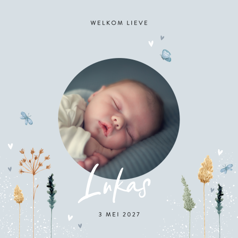 Geboortekaartje jongen met droogbloemen en ronde foto