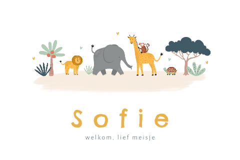 Geboortekaartje meisje met jungle dieren op een rijtje