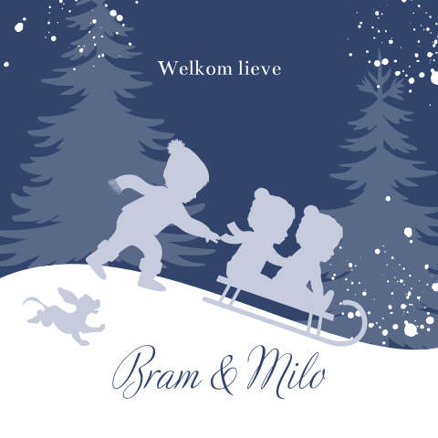 Winter babykaartje tweeling jongens met grote broer op slee