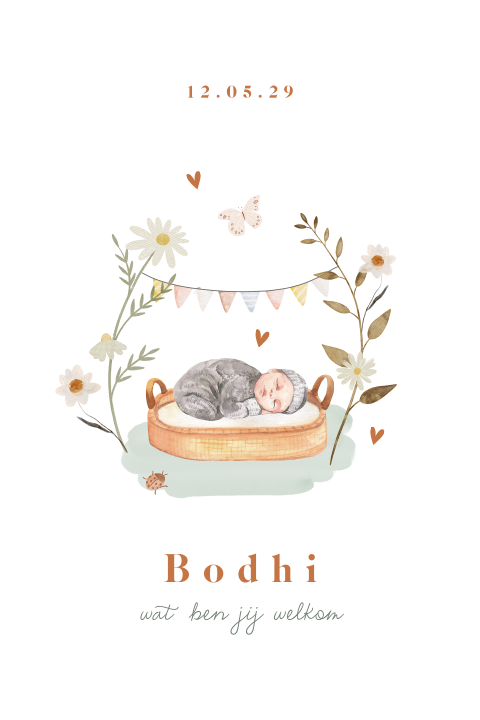 Lief geboortekaartje met baby in mandje tussen bloemen