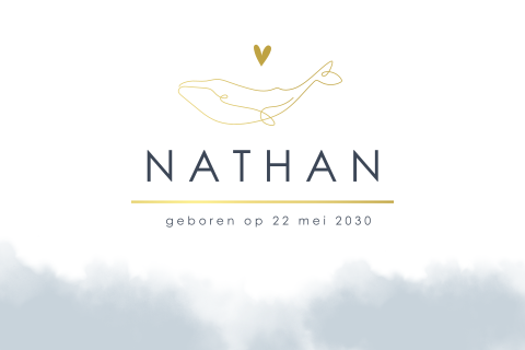 Hip geboortekaartje met tekening walvis in goudfolie voor jongen