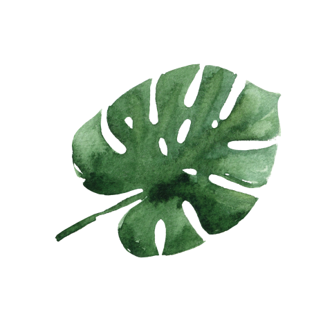 Sluitsticker met tropisch blad