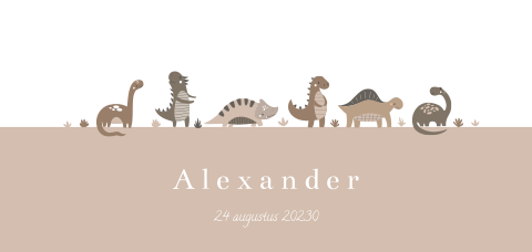 Geboortekaartje met dinosaurussen in aardetinten