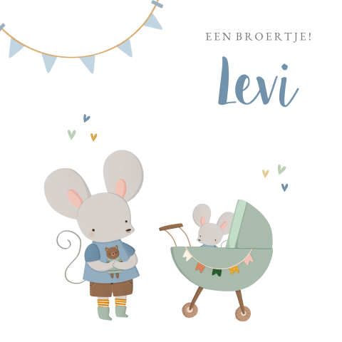 Getekend geboortekaartje jongen met twee muisjes