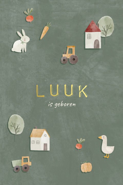 Groen geboortekaartje met boerderij illustraties