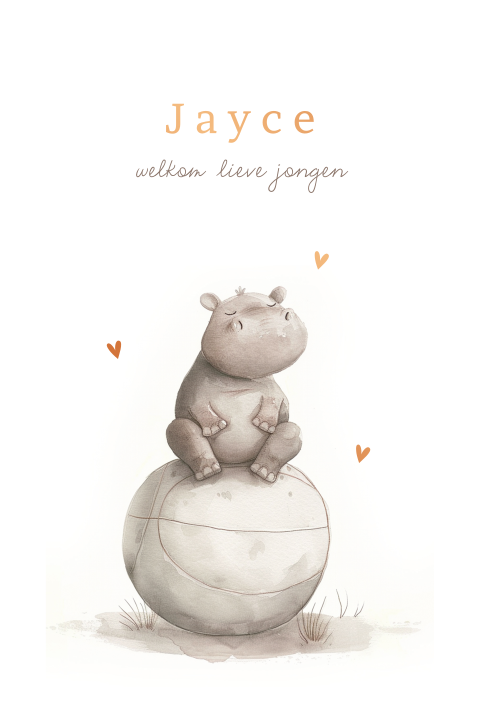 Geboortekaartje met nijlpaard op bal