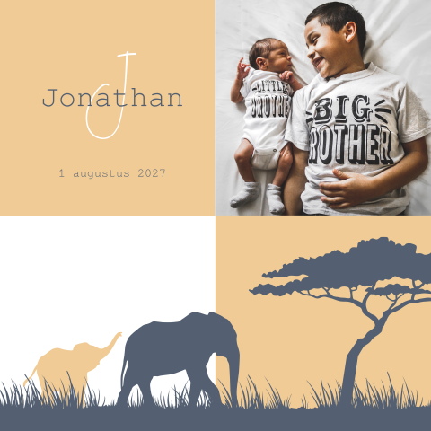 Foto geboortekaartje 2e kindje jongen en silhouet van olifantjes