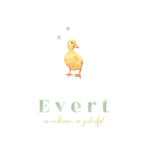 Lief geboortekaartje met eendje en groene hoogglans