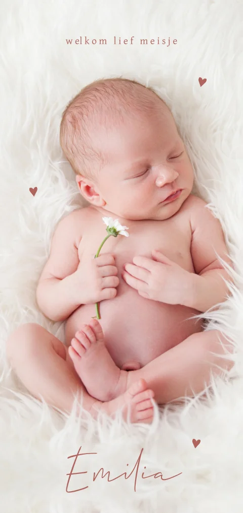 Foto geboortekaartje met hartjes en sierlijk lettertype