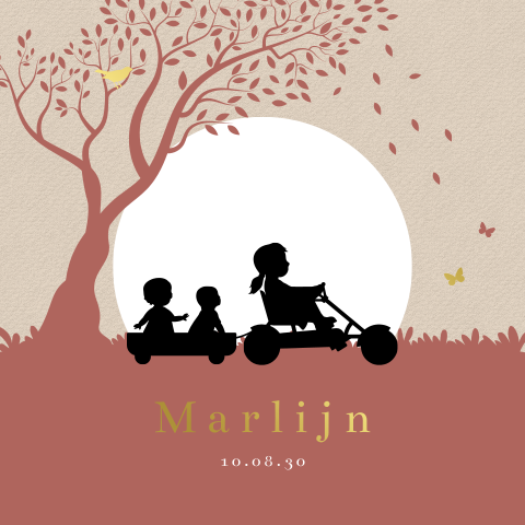 Geboortekaartje meisje derde kindje met silhouet zusjes op skelter