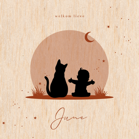 Geboortekaartje hout met silhouet baby meisje en kat