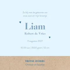 Silhouet geboortekaartje 2e kind met broertjes bij boom