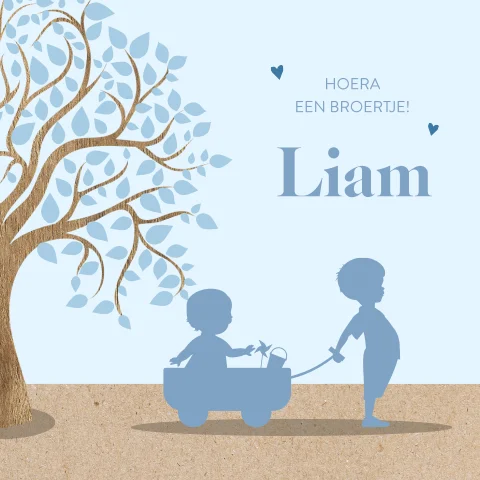 Silhouet geboortekaartje 2e kind met broertjes bij boom