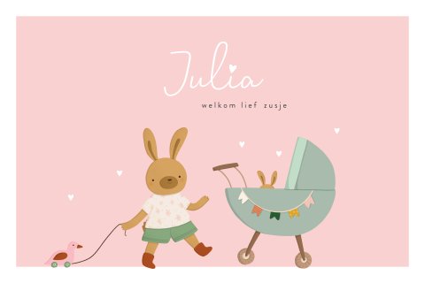 Roze geboortekaartje 2e kindje twee konijntjes zus en meisje