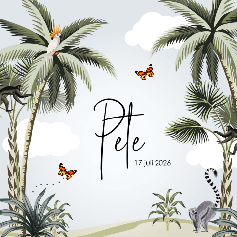 Jungle geboortekaartje met palmbomen, aap en vlinders