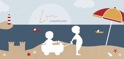 Silhouet geboortekaartje 2e kindje met broertjes op het strand