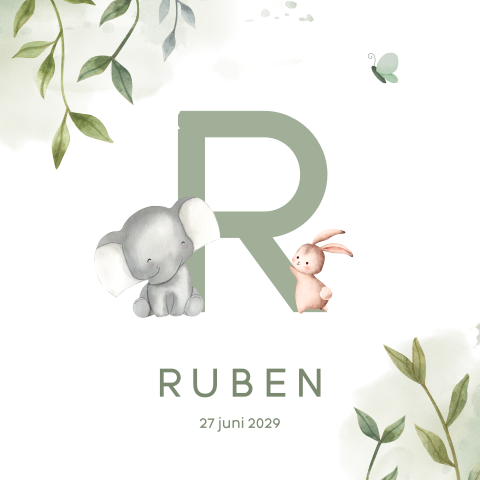 Dieren geboortekaartje jongen met olifant, konijn en vlinder