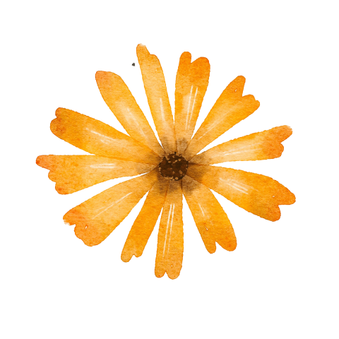 Sluitsticker met geel bloemetje