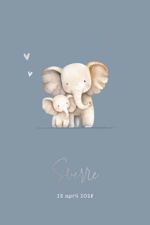 Lief geboortekaartje met twee olifantjes en zilverfolie