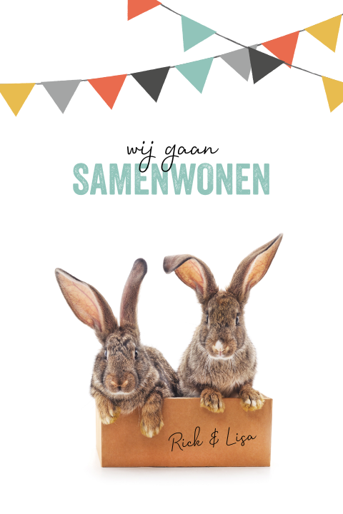 Lieve verhuiskaart met twee konijnen en confetti