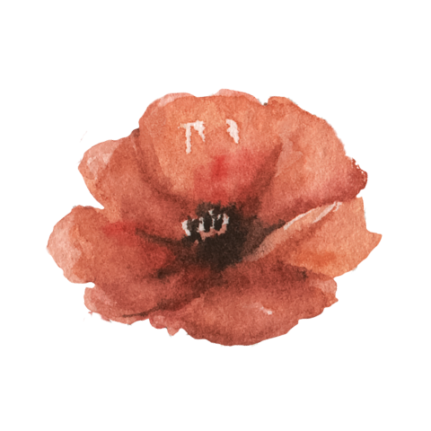Sluitsticker met klaproos