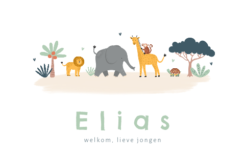 Geboortekaartje met jungle dieren op een rijtje