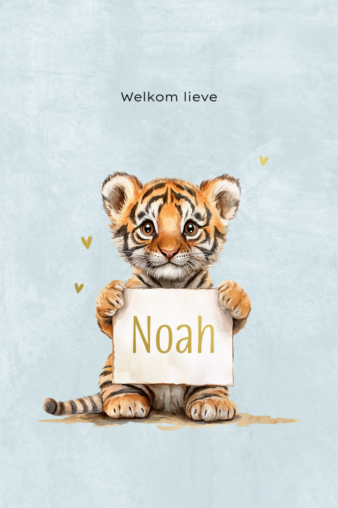 Blauw geboortekaartje jongen tijger en naambord