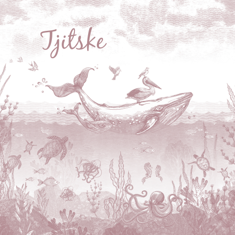 Roze geboortekaartje met walvis