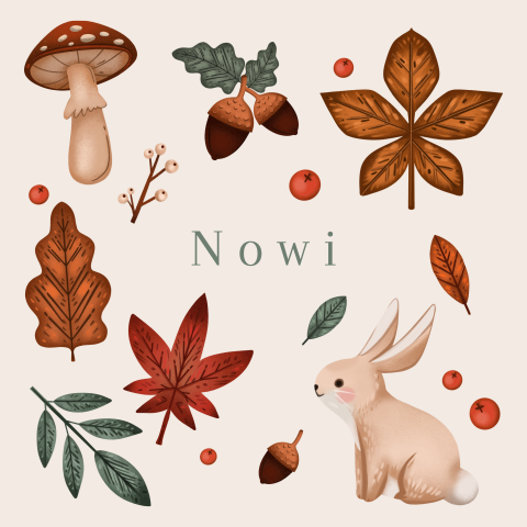 Herfst geboortekaartje met lief konijntje