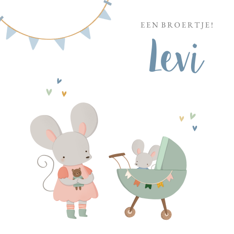 Geboortekaartje 2e kindje twee muisjes als zus en broertje