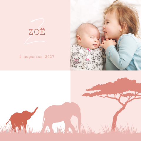 Roze geboortekaartje 2e kind meisje met foto en olifantjes