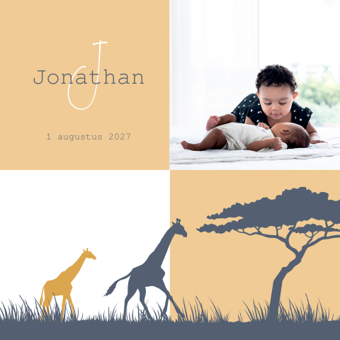 Foto geboortekaartje 2e kindje jongen en silhouet van girafjes