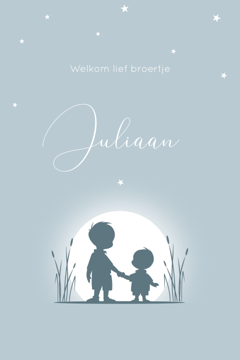 Geboortekaartje twee broertjes voor ondergaande zon