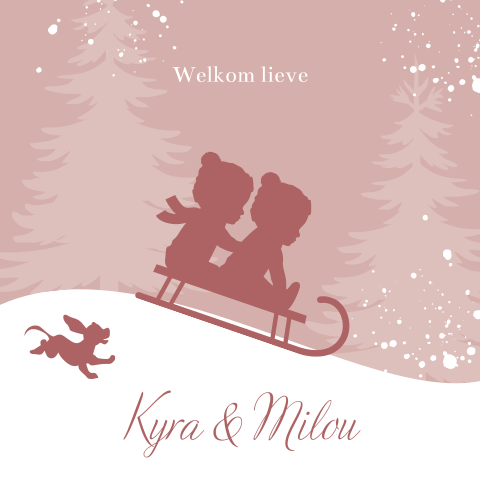 Winter geboortekaartje tweeling meisjes op slee