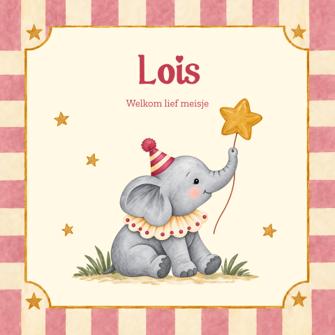 Geboortekaartje met circus olifant en roze strepen