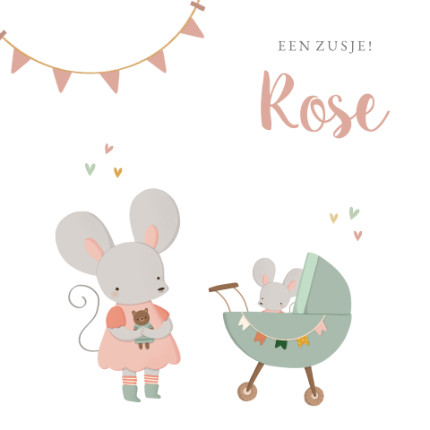 Geboortekaartje 2e kindje twee zusjes als muisjes