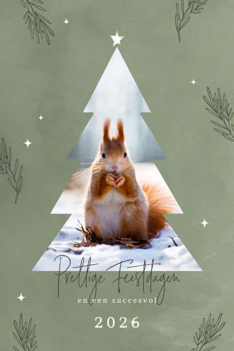 Groene kerstkaart met kerstboom als fotokader