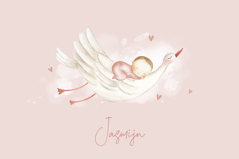 Geboortekaartje ooievaar met baby meisje op rug