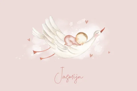 Geboortekaartje ooievaar met baby meisje op rug