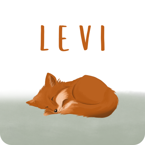 Sluitsticker vierkant met groene waterverf en vosje