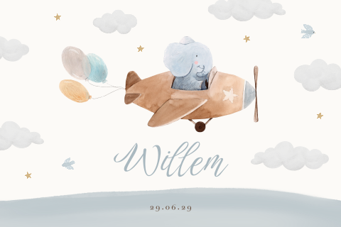 Lief geboortekaartje met olifant in vliegtuig