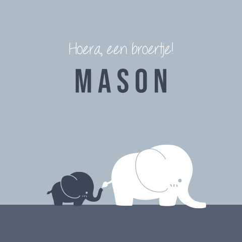 Geboortekaartje 2e kindje jongen met twee olifantjes