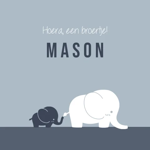 Geboortekaartje 2e kindje jongen met twee olifantjes